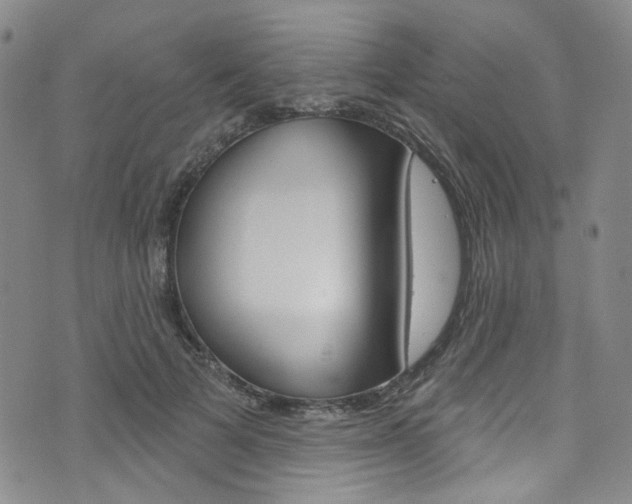 X0000073420697200607280935