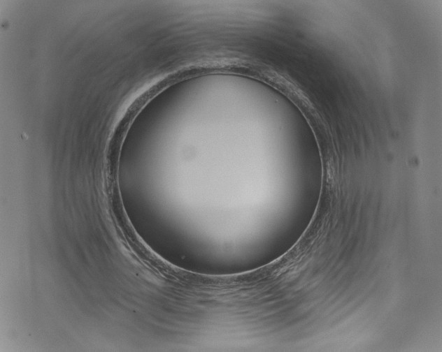 X0000073420724200607280934