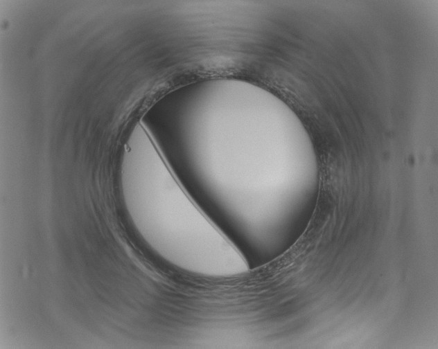 X0000073420742200607280934