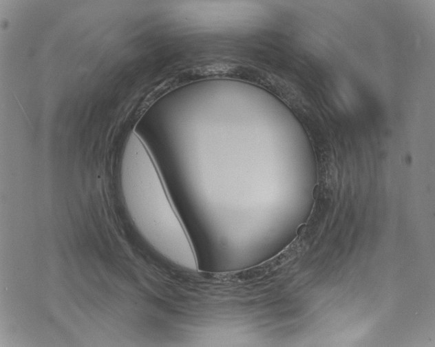 X0000073420743200607280935