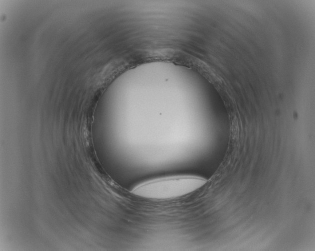 X0000073420764200607280935
