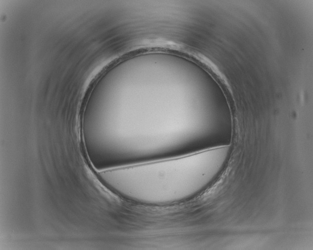 X0000073420791200607280934