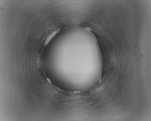 X0000073420818200607280933