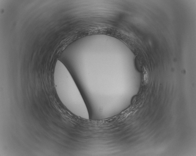 X0000073420819200607280933