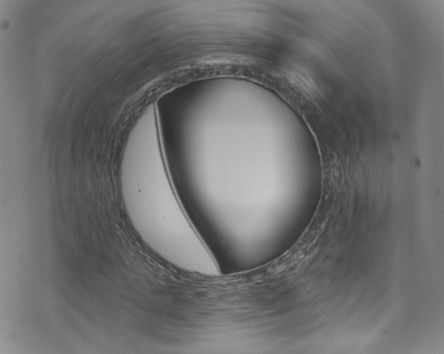 X0000073420821200607280933
