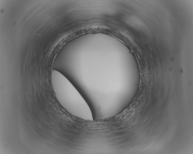 X0000073420823200607280933
