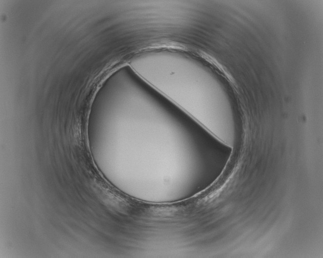 X0000073420825200607280933