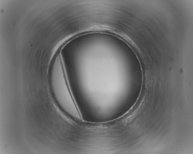 X0000073420838200607280933