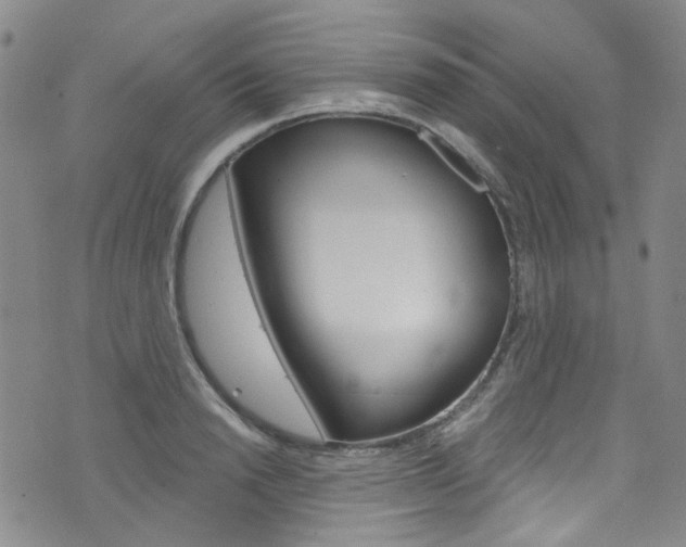 X0000073420846200607280933
