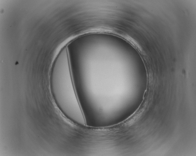 X0000073420854200607280933