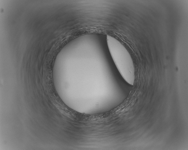 X0000073420865200607280933
