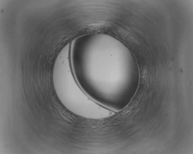 X0000073420868200607280933