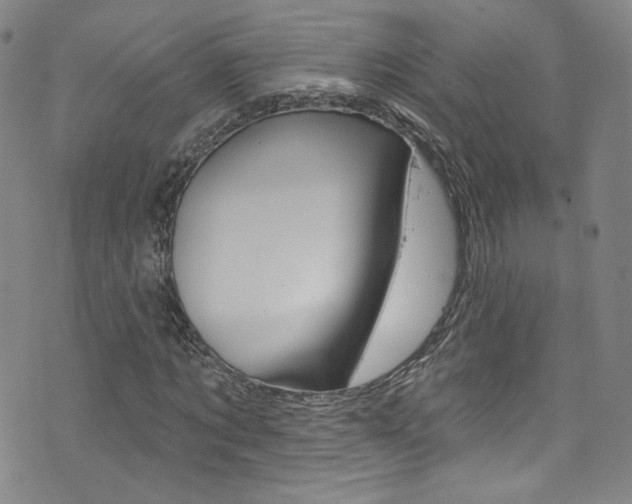 X0000073420869200607280933