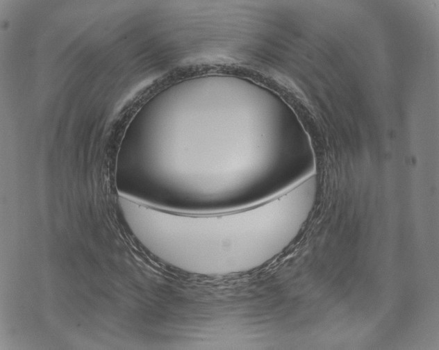 X0000073420872200607280932