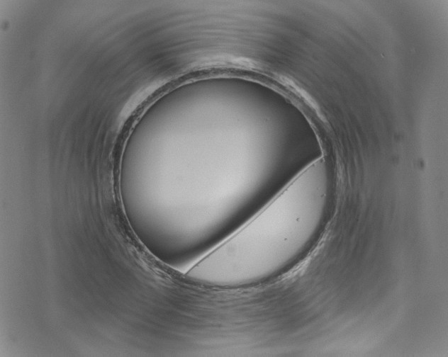 X0000073420877200607280932