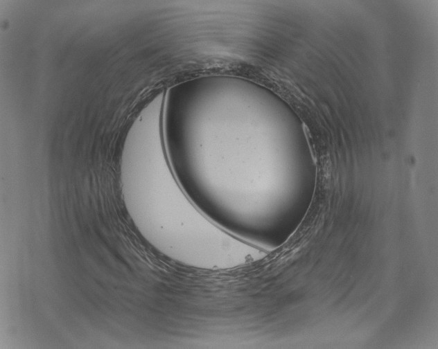 X0000073420916200607280931