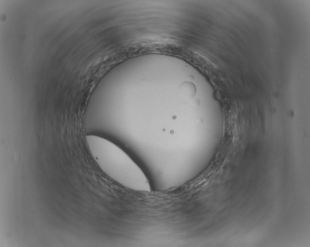 X0000073420917200607280931