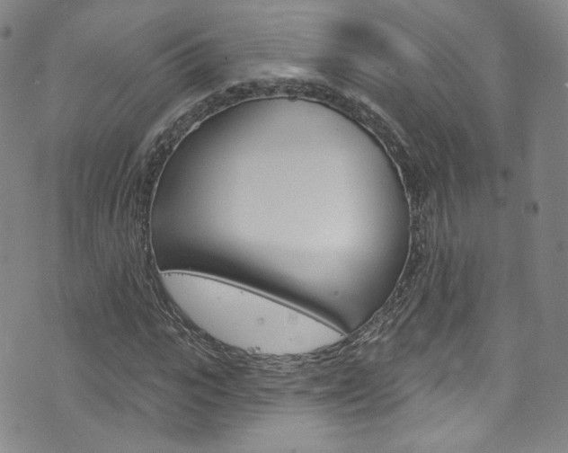 X0000073420919200607280931