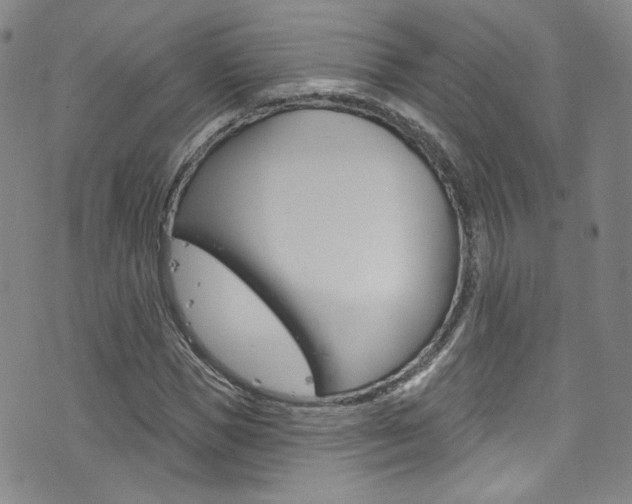 X0000073420921200607280931