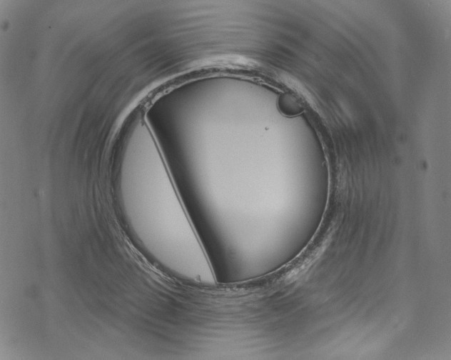 X0000073420923200607280931