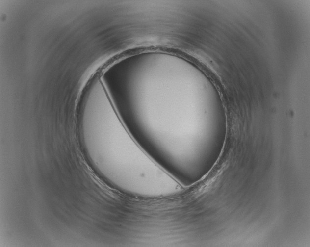 X0000073420927200607280931