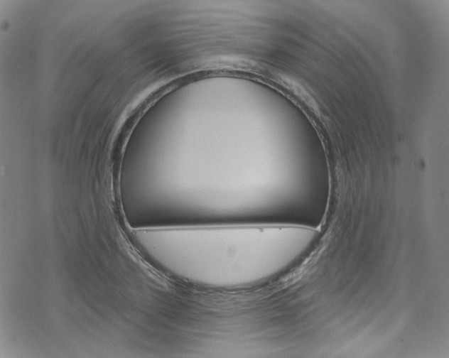 X0000073420931200607280931