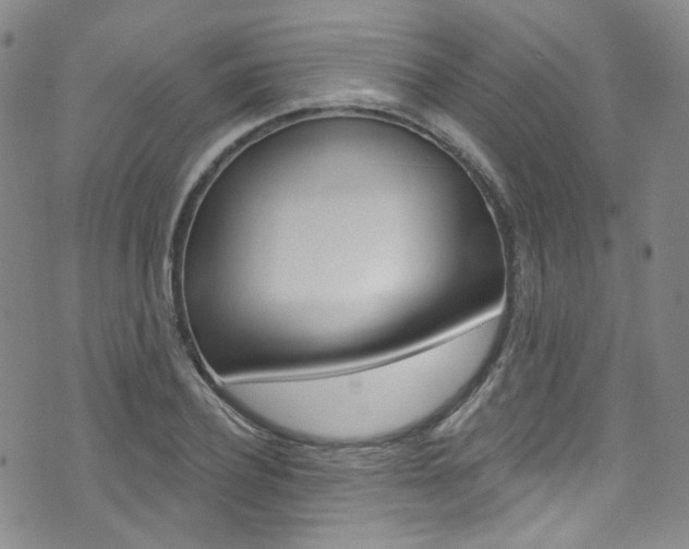 X0000073420932200607280931