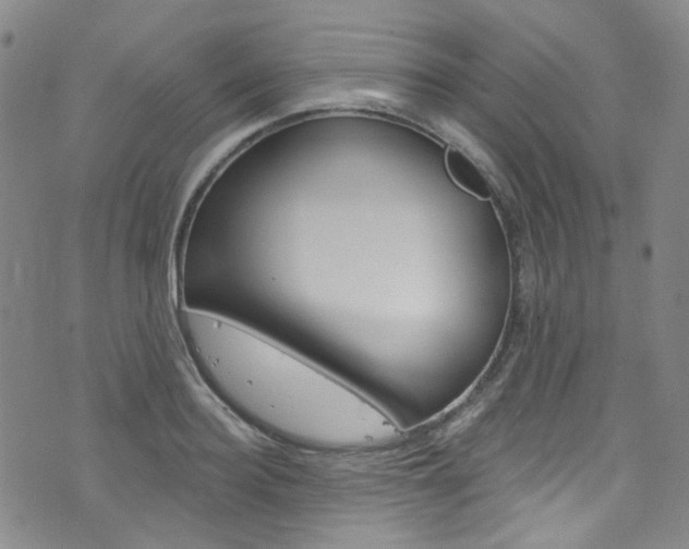 X0000073420940200607280931