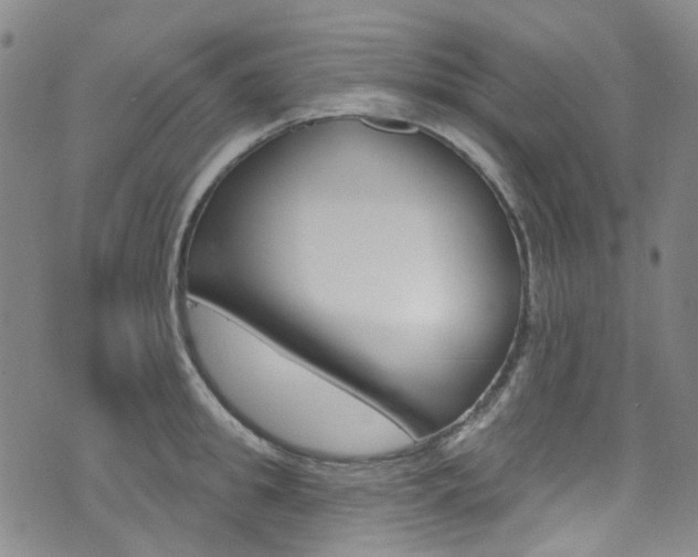 X0000073420949200607280932