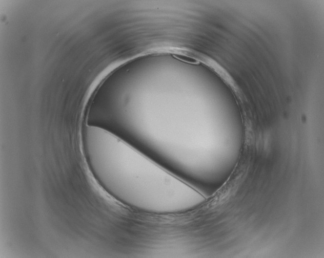 X0000073420955200607280932