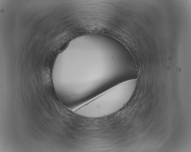 X0000073420963200607280931