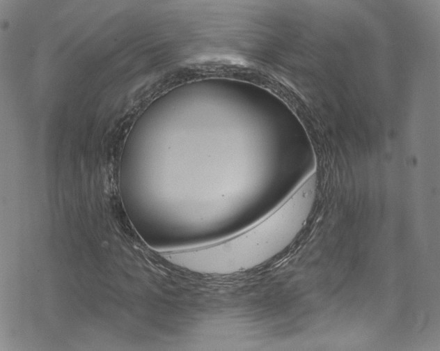 X0000073420965200607280931