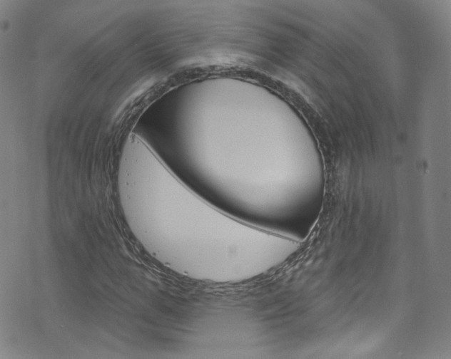 X0000073420967200607280931
