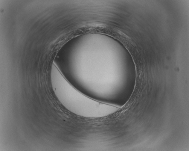 X0000073421014200607280930