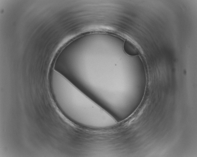 X0000073421037200607280930