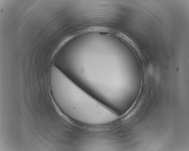 X0000073421049200607280930