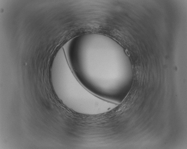 X0000073421057200607280929
