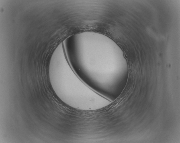 X0000073421058200607280929