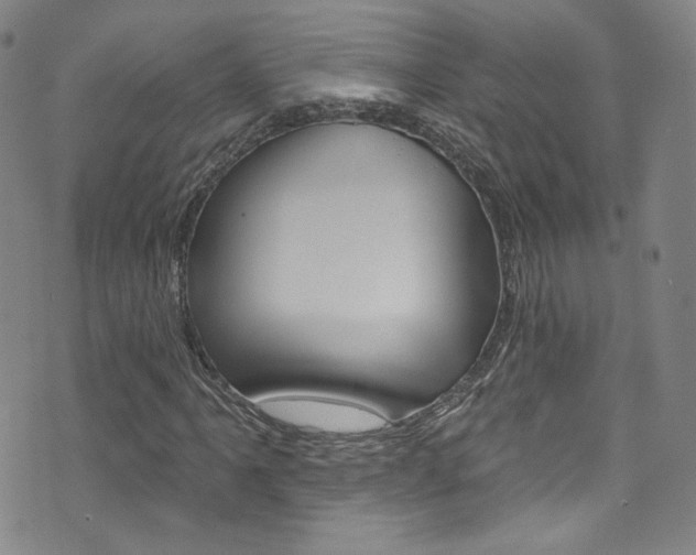 X0000073421061200607280929