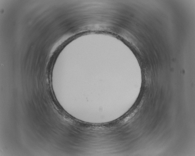 X0000073421070200607280929