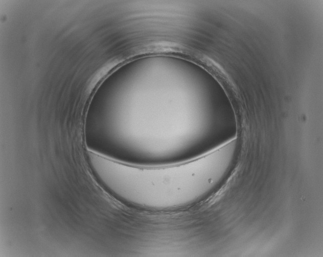 X0000073421081200607280929