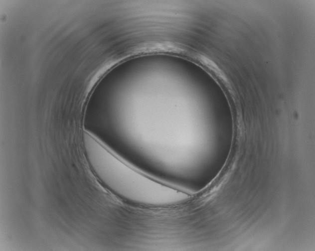 X0000073421089200607280929