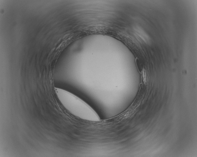 X0000073421107200607280928