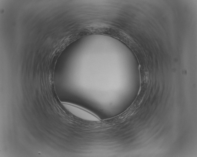 X0000073421108200607280928