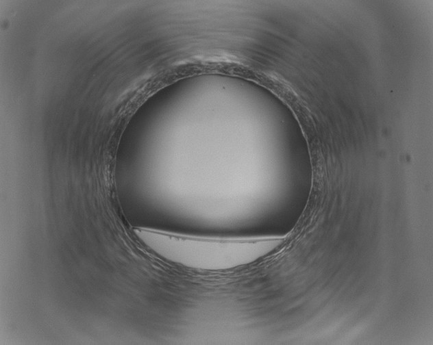 X0000073421110200607280928
