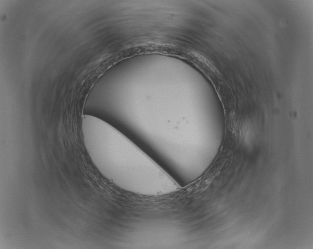 X0000073421111200607280928