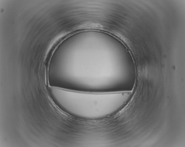 X0000073421123200607280928
