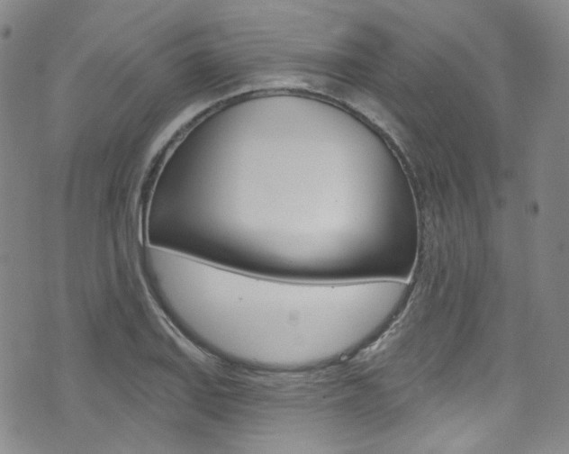 X0000073421127200607280928