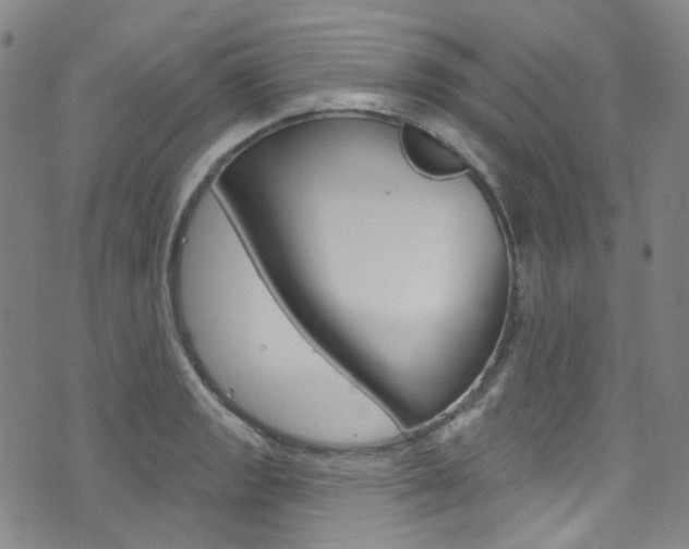X0000073421133200607280928