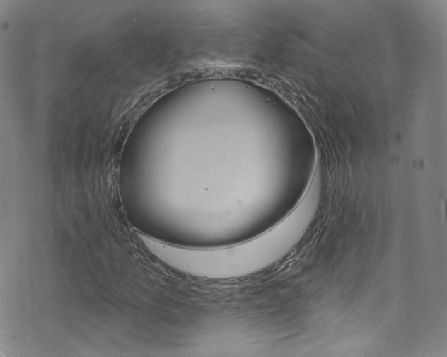 X0000073421157200607280928